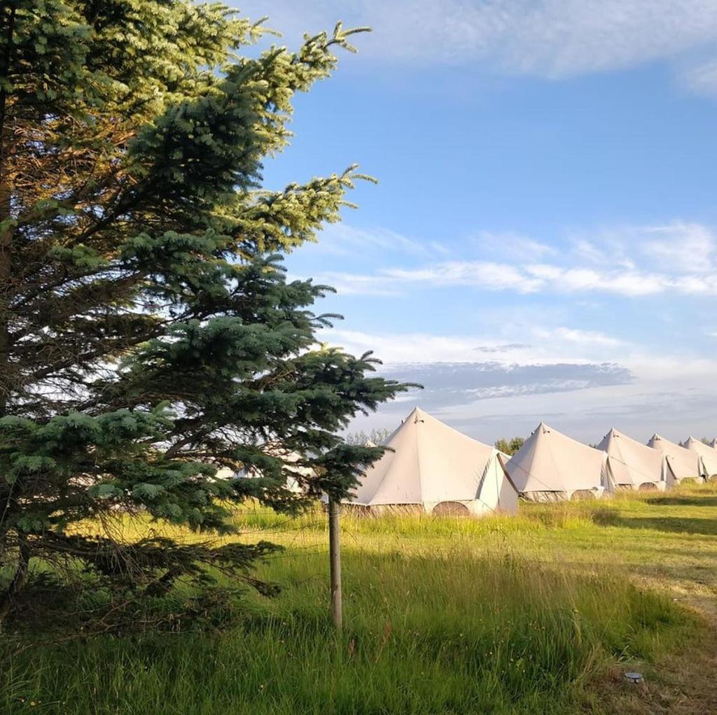 Godaland Glamping Hvolsvöllur Extérieur photo